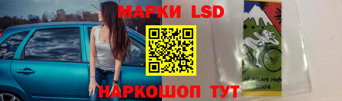 Курчалой  Лсд 25 экстази ecstasy  Вход с VPN  LSD-25 экстази кислота 