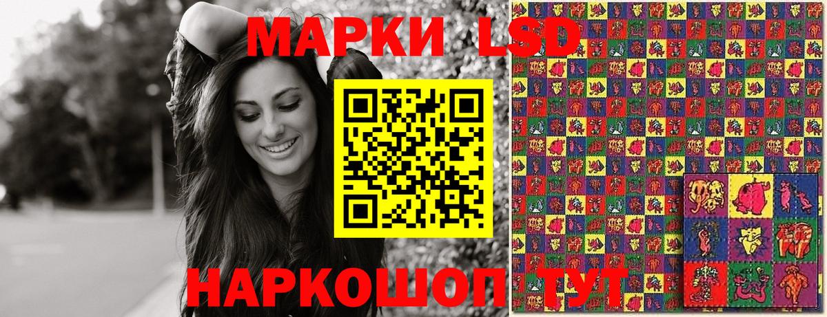 Курчалой  Наркотические марки  Наркотические марки 1500мкг  Вход с VPN  Наркотические марки 1500мкг 