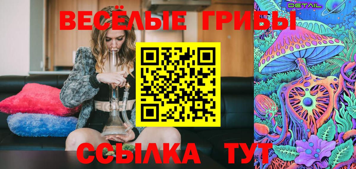 Галлюциногенные грибы Cubensis  Галлюциногенные грибы Psilocybine cubensis  Курчалой  Вход с VPN 